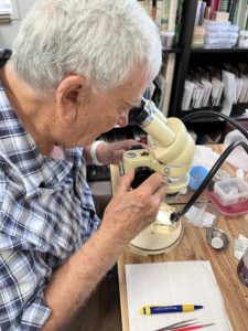 A person looking down a micoscope.