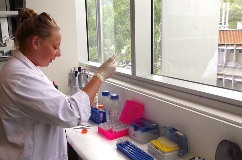 Person in a lab coat and gloves working with small tubes in a genetics lab
