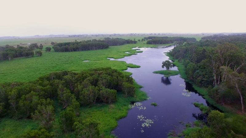 An aerial view of the Mungalla wetland