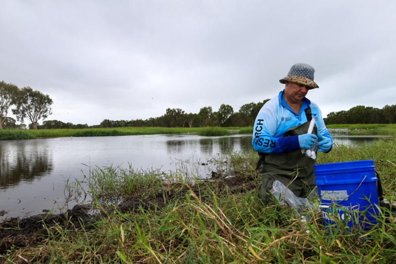 A scientist in the foreground with blue bucket. Kneeling in a shallow wetland.