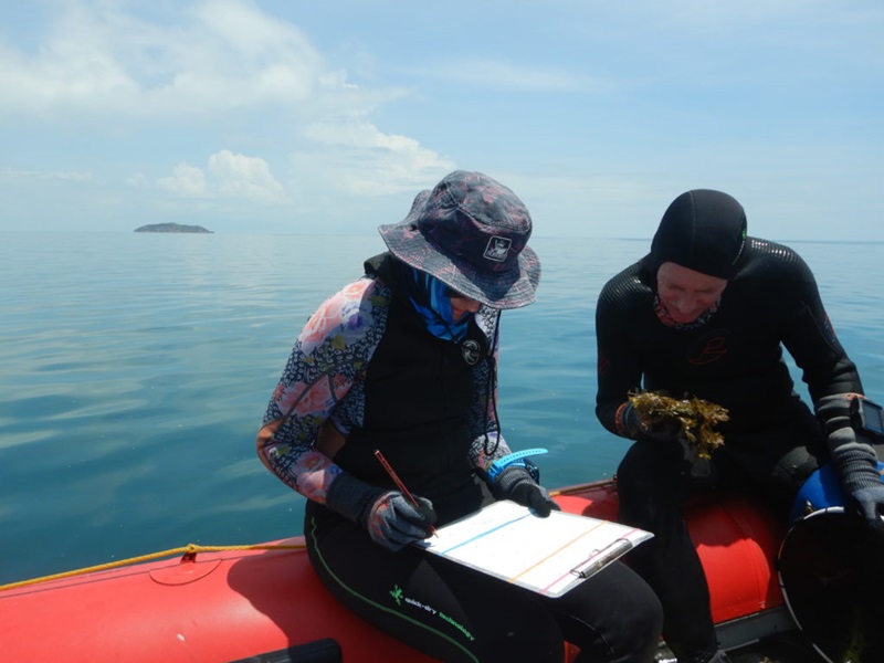 two divers sitting on a boat recoridng details from an algae sample