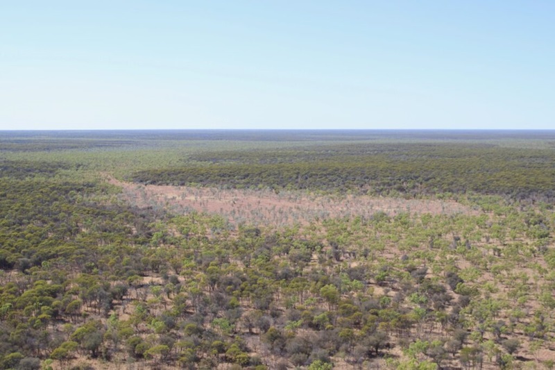 Vegetation between the Velkerri experimental wells in the Betaloo Sub-Basin, Northern Territory.