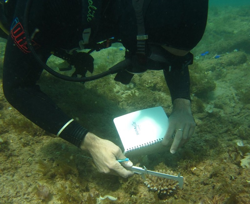 Christopher Doropoulos mapping and monitoring the growth and survival of juvenile corals in the Exmouth Gulf and Ningaloo Marine Park. 