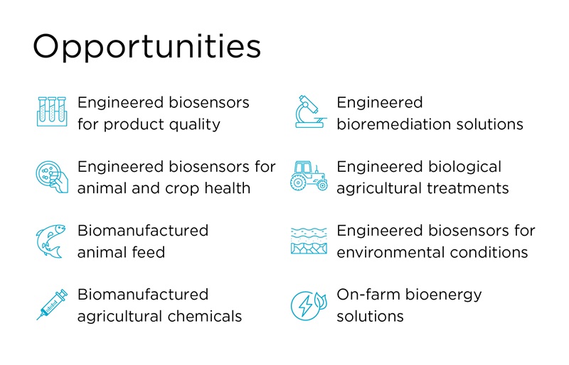 Lists eight opportunities: engineered biosensors for product quality; engineered biosensors for animal and crop health; biomanufactured animal feed; biomanufactured agricultural chemicals; engineered bioremediation solutions; engineered biological agricultural treatments; engineered biosensors for environmental conditions; and on-farm bioenergy solutions.