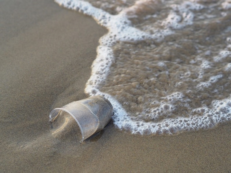 plastic cup lying on the beach in the sand