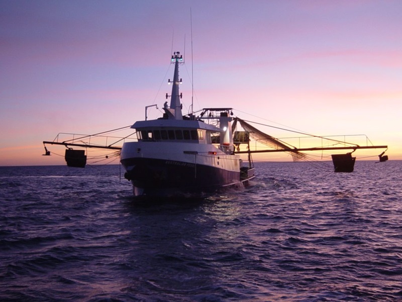 A prawn trawler on ocean with setting sun behind