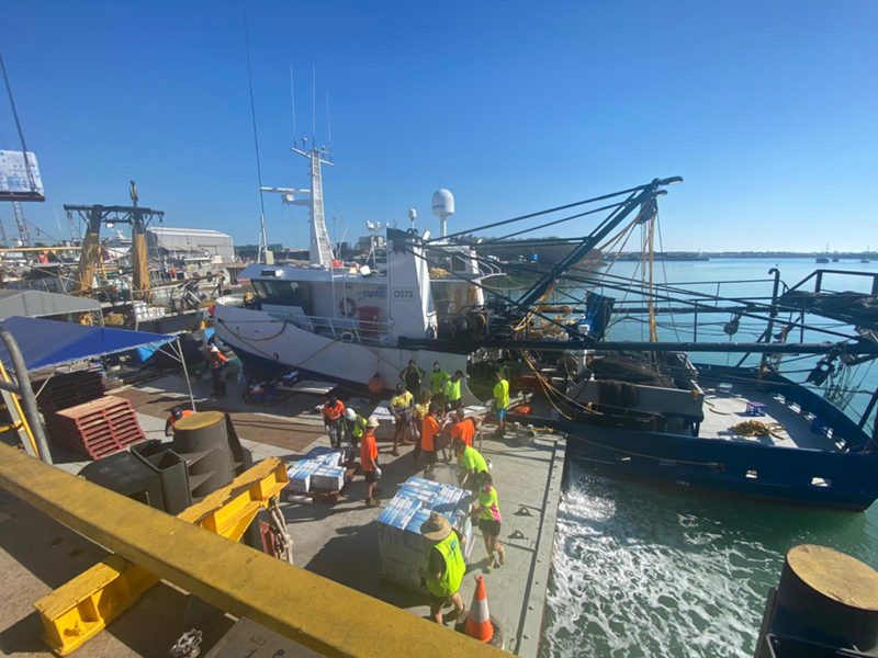 catches of redleg banana prawns being unloaded after being caught in the Joseph Bonaparte Gulf