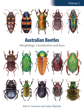 Front cover of the title 'Australian Beetles'