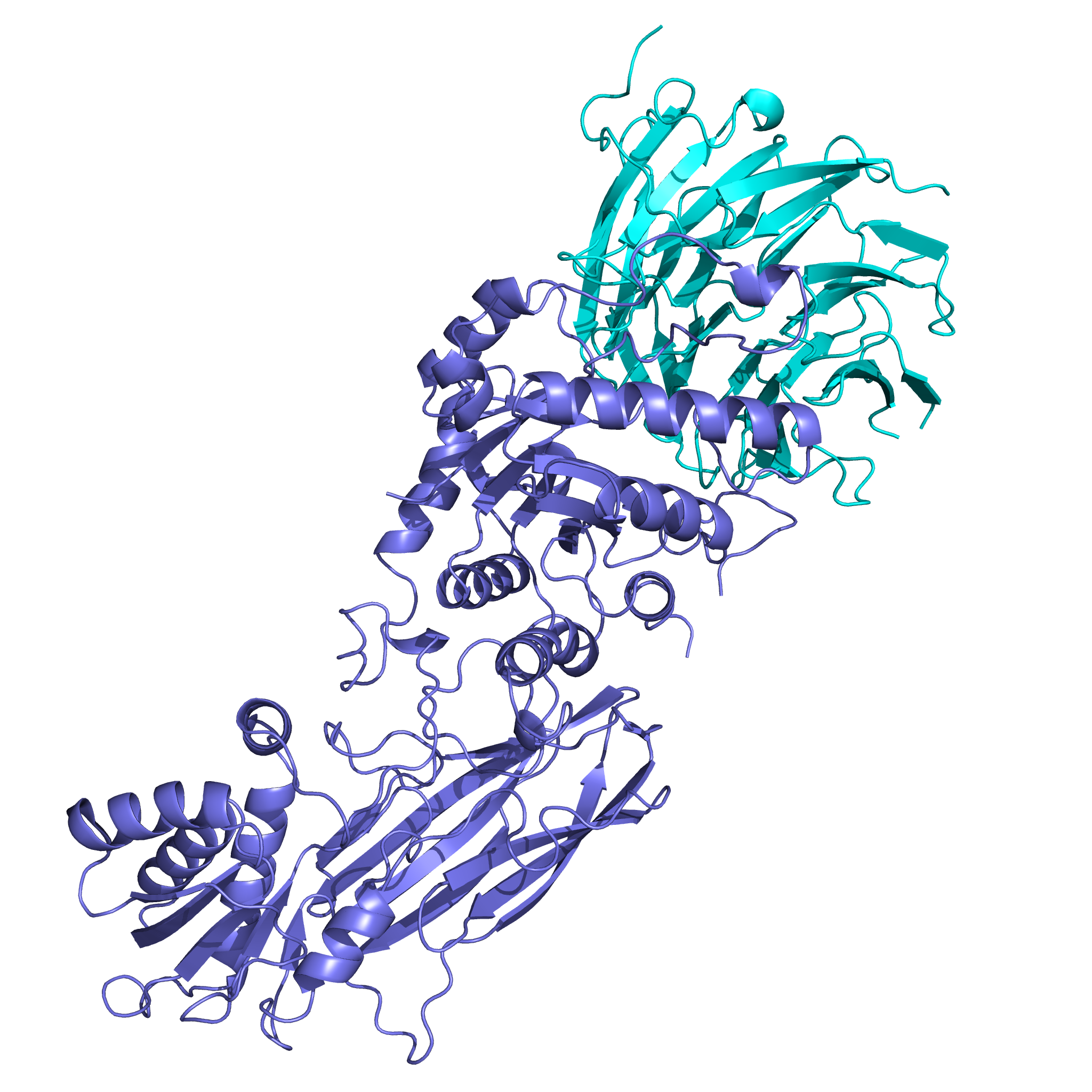The molecular structure of PRMT5.