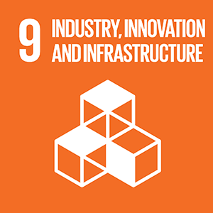 United Nations Sustainable Development Goal 9: Industry, Innovation and Infrastructure logo