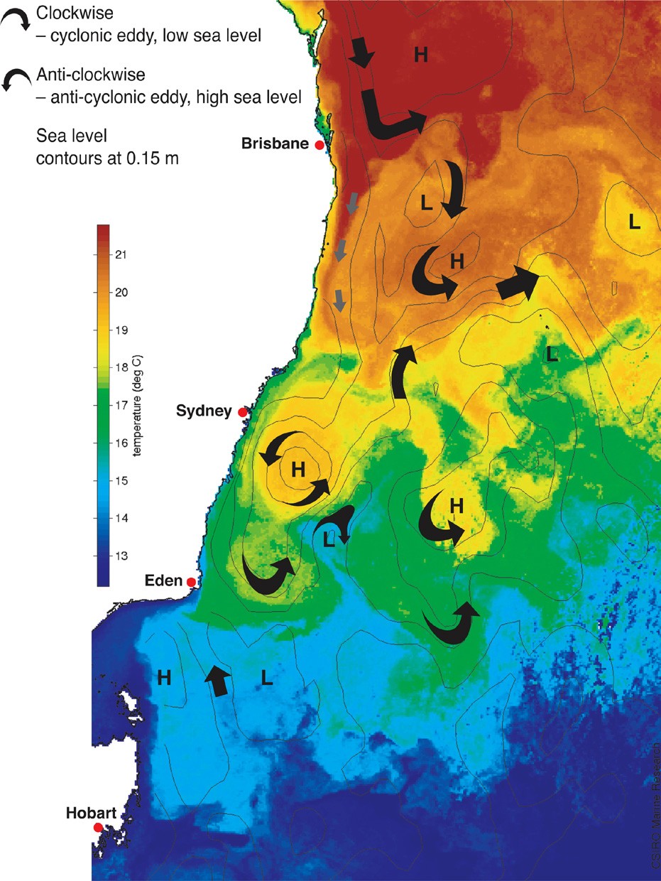 Bluelink ocean forecast of currents off eastern Australia