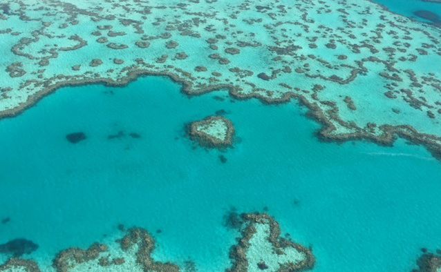 Aerial view of a section of the Great Barrier Reef, showing a distictive shaped coral reef known as Heart Reef.