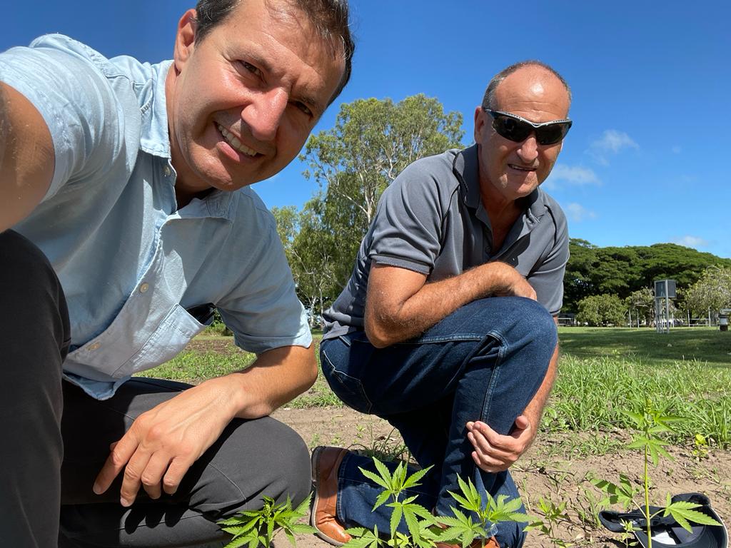 Two people in a hemp crop