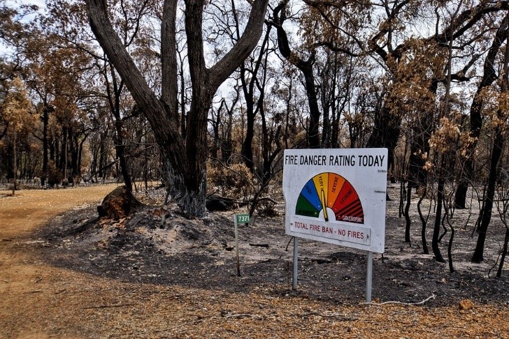 fire danger rating sign in a bush setting