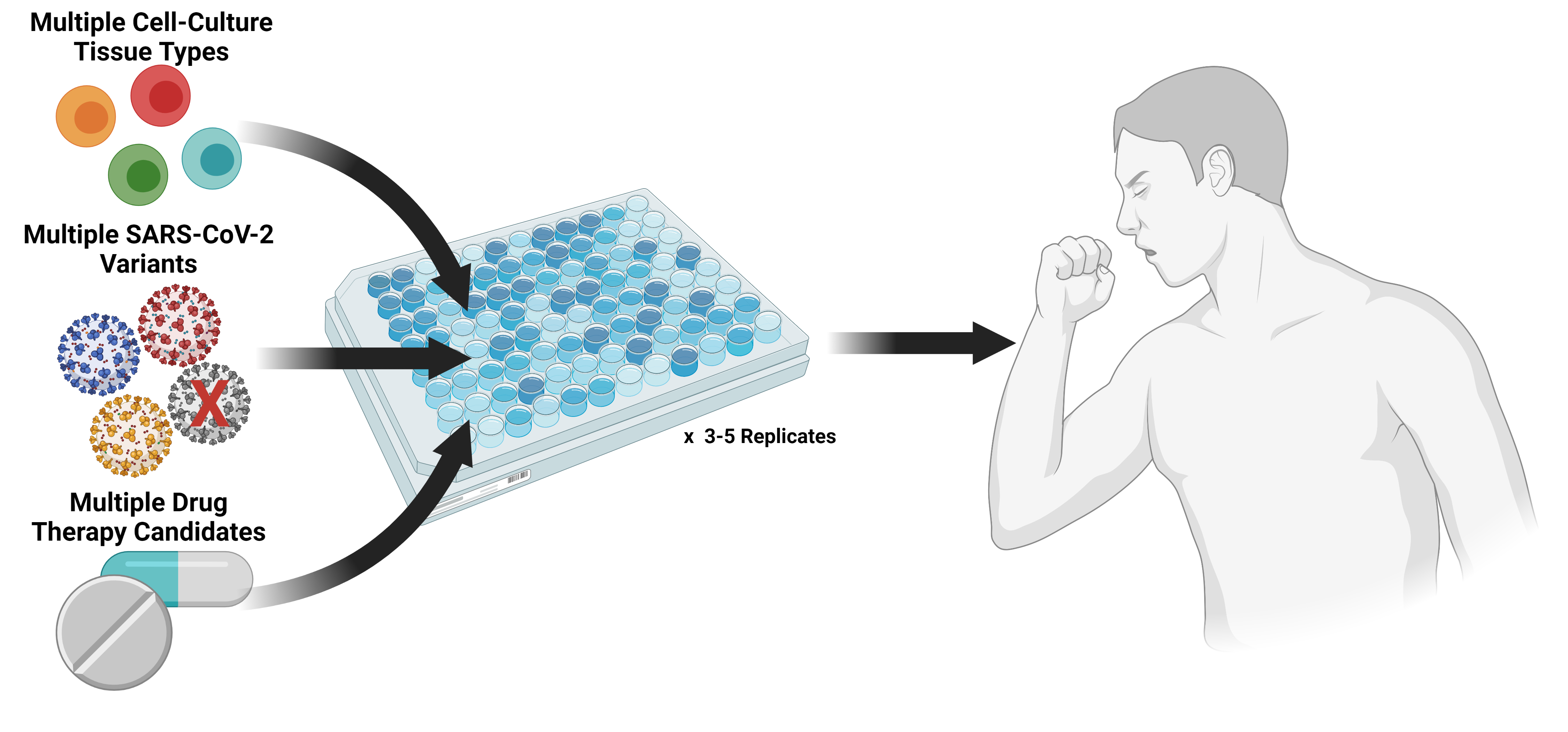 An illustration with coloured dots and medicines on the left, representing the SARS-CoV-2 virus, human tissue cells and drugs, in the middle a rectangular plate with multiple holes and on the right, a picture of a the upper half of a person.