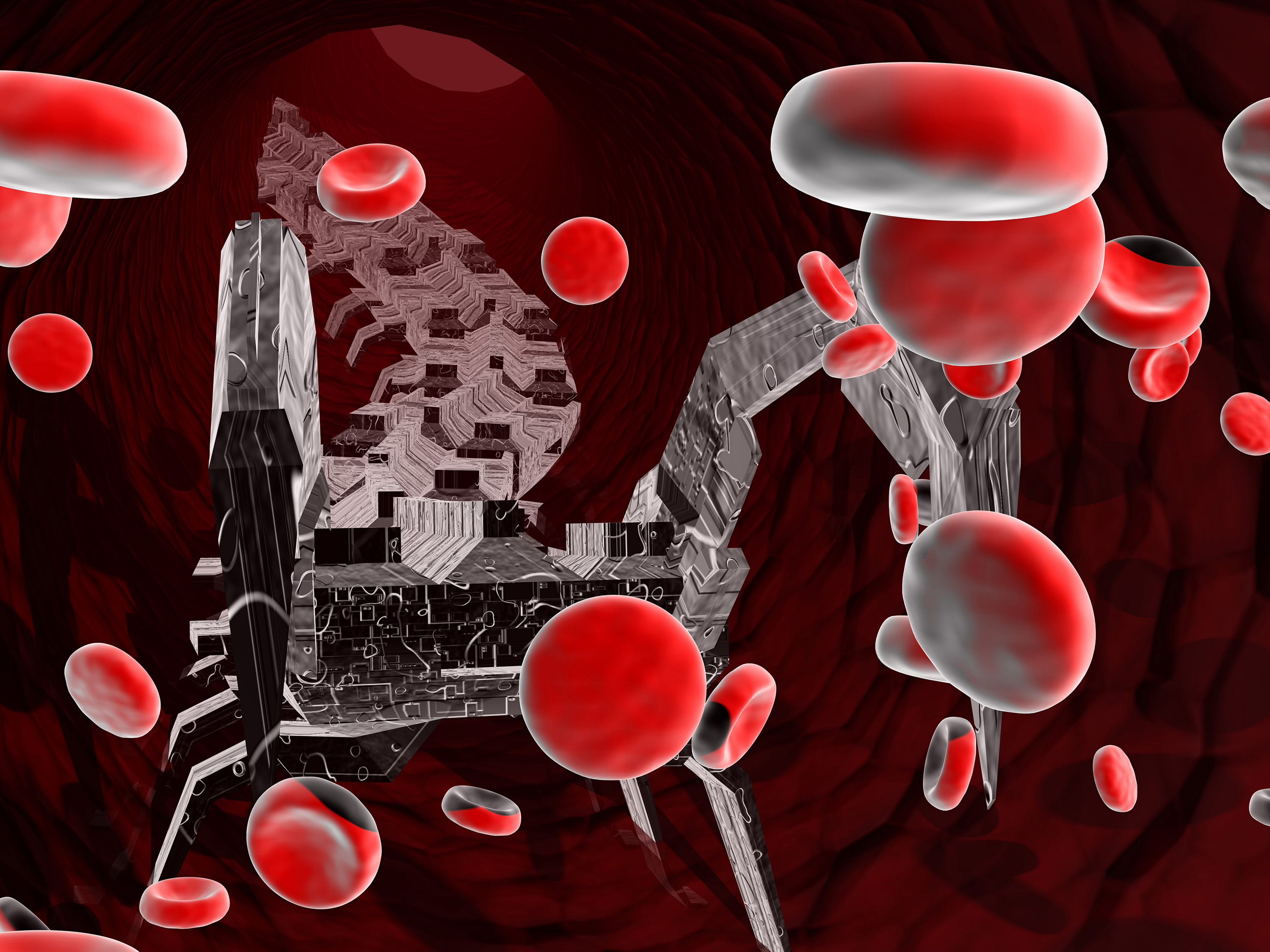 Picture of blood cells