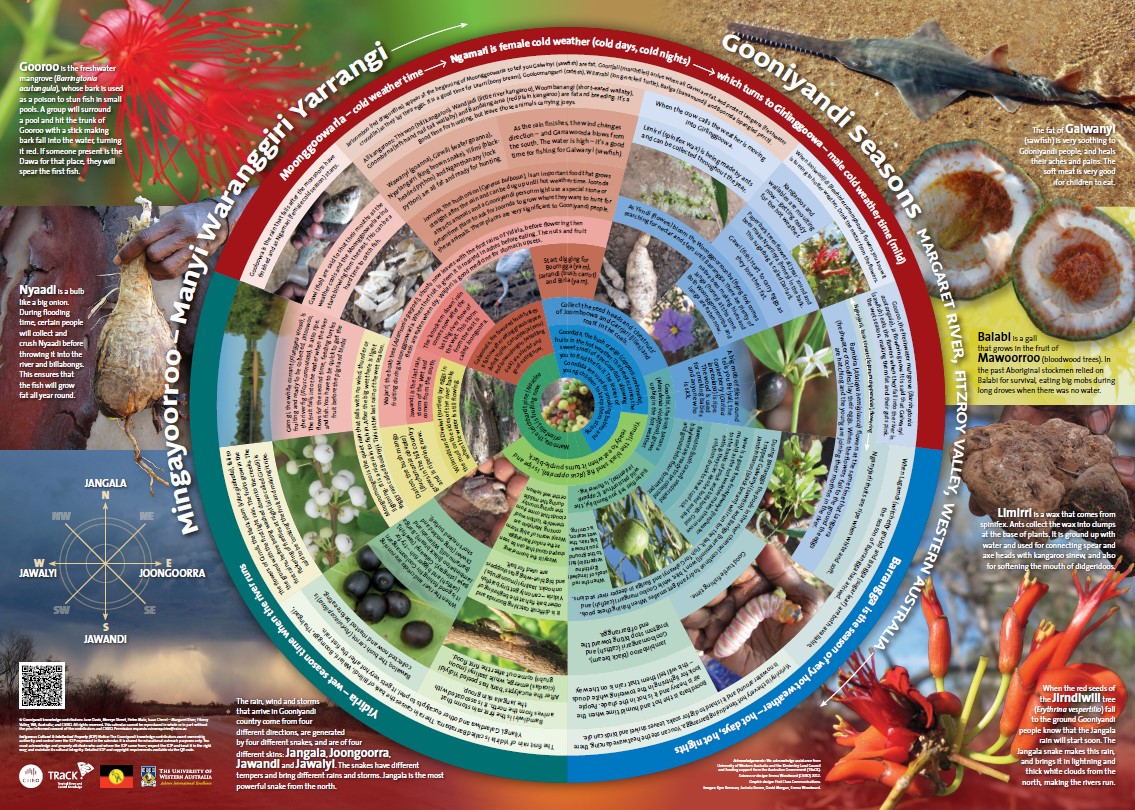 Gooniyandi seasons calendar