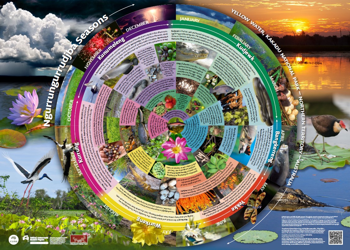 Ngurrungurrudjba (Yellow Water) seasons calendar
