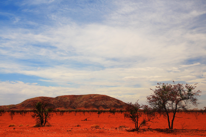 arid australian landscape