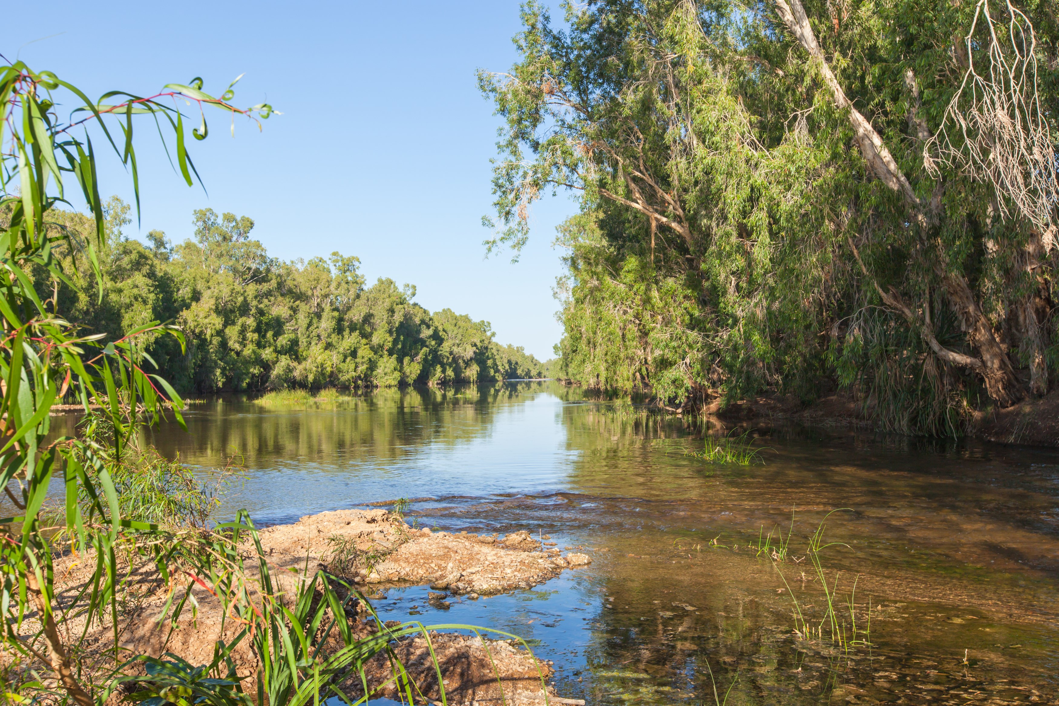 A picture of a river with greenery on either side of the bank.