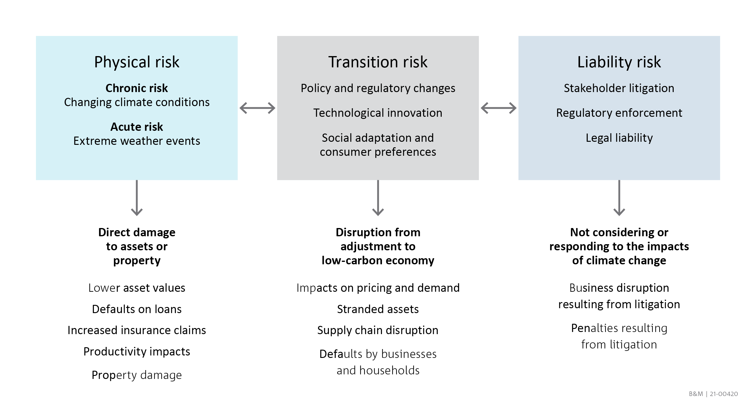 Transition Report informational graphic