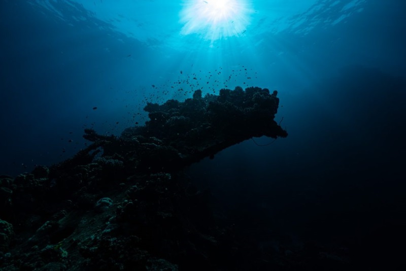 Underwater view of a reef looking up toward sunlight.